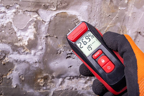 Best DIY Mold Remediation Support Services in Crownpoint, NM