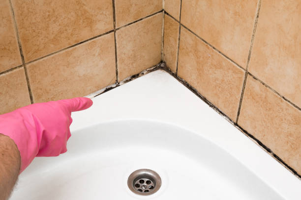 Best Crawl Space Mold Remediation in Crownpoint, NM